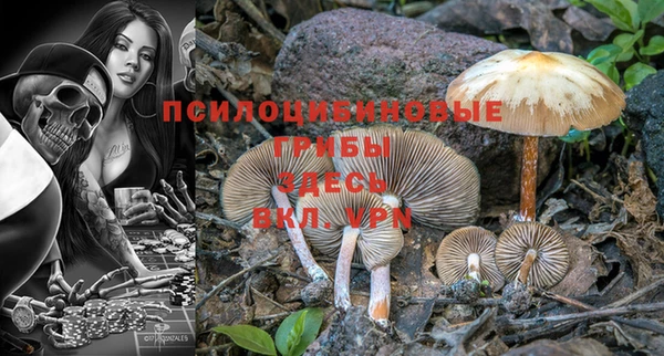 mdpv Новозыбков