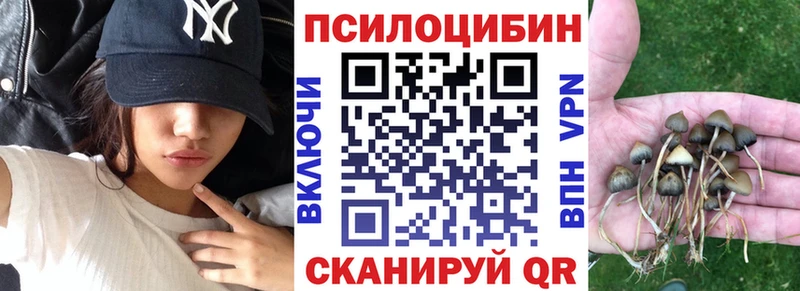 Купить закладки Гусиноозёрск Галлюциногенные грибы мицелий